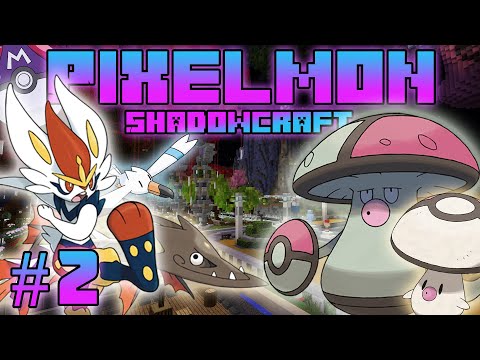 Видео: ТУРНИР, ЗНАКОМСТВА, РАЗДАЧА И ЭВОЛЮЦИИ | Pixelmon ShadowCraft [#2]