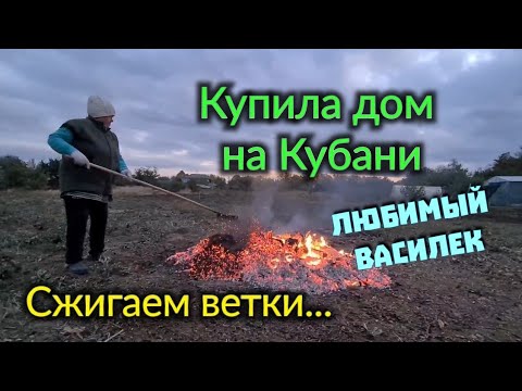 Видео: Купила дом в селе. Обновки для Юры. Сжигаем ветки. Любимый Василёк...