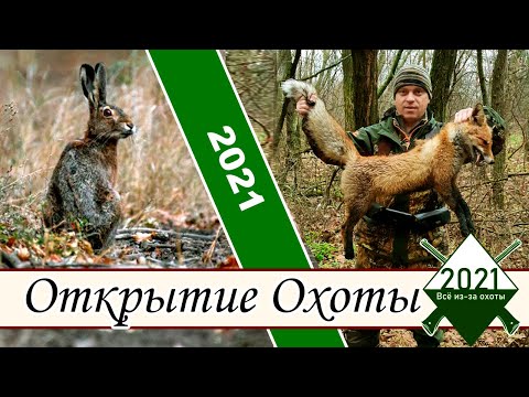 Видео: Долгожданное открытие!!!