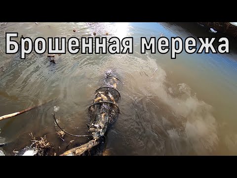 Видео: Жесть!Нашёл брошенную браконьерами мережу,много рыбы пропало и не только рыбы!