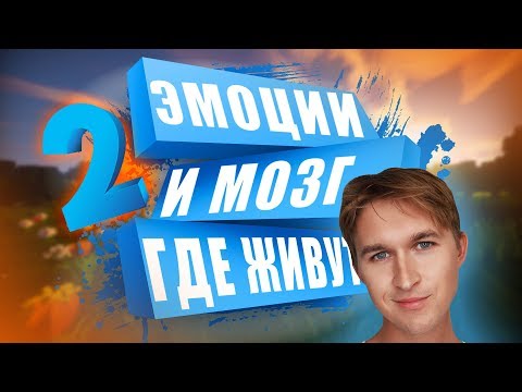 Видео: ЭМОЦИИ И МОЗГ (ч.2)
