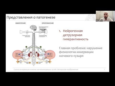 Видео: Применение магнитной стимуляции при расстройствах мочеиспускания - гиперактивном мочевом пузыре