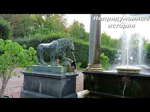 Видео: Фонтаны Петергофа