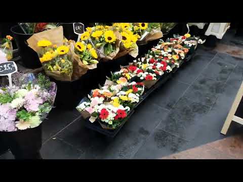 Видео: МЫ с МУЖЕМ в ГОЛЛАНДИИ, наш ОТПУСК в октябре 2023г. 8 часть