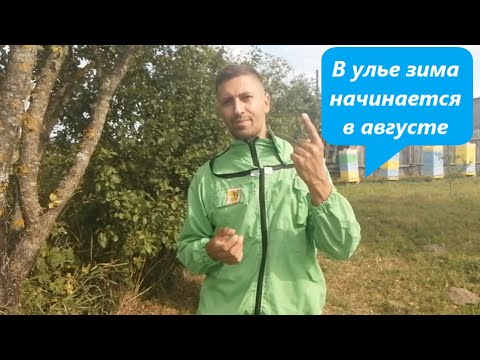 Видео: АВГУСТ 2021: ☝ 3 ГЛАВНЫХ ПРАВИЛА ЗИМОВКИ ПЧЁЛ 🐝 | Как подготовить пчёл к зимовке