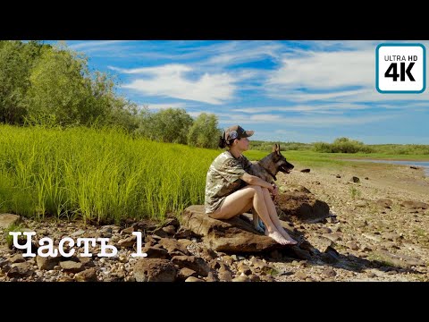 Видео: Путешествие о котором мечтает каждый рыбак (ч.1) | 10 рек, 1800 км, много рыбы, встречи с медведями