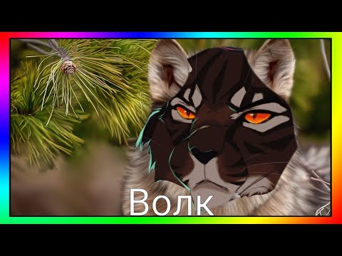 Видео: переводчик эмодзи (коты воители)