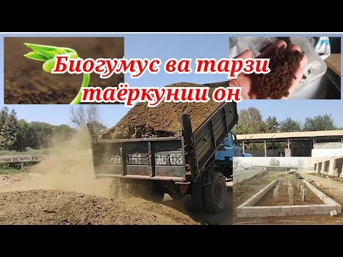 Видео: Биогумус ва тарзи таёркунии он