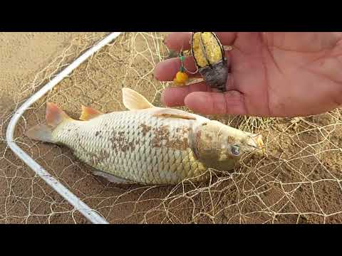 Видео: Қатты даулдан кейінгі Сазандар🐟🐟🐟👍👍👍