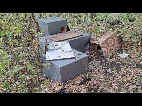 Видео: Домики для уличных кошек. То как это выглядит сегодня!