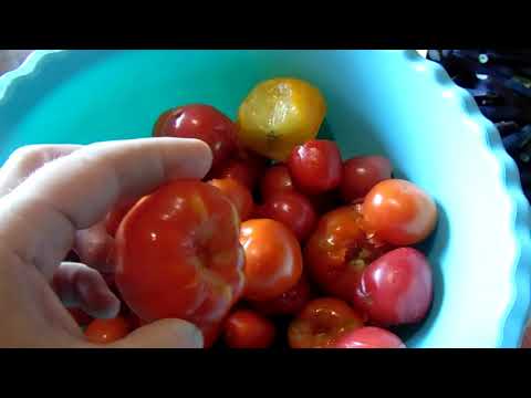 Видео: Мой завтрак/ малина на зиму/заготовки овощей на зиму в заморозке.