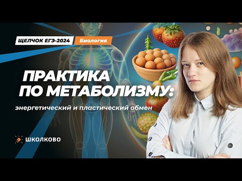 Видео: ЩЕЛЧОК к ЕГЭ 2024 по биологии | Практика по метаболизму: энергетический и пластический обмены