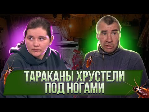 Видео: Как мужчины выживают за счет "плодячки"