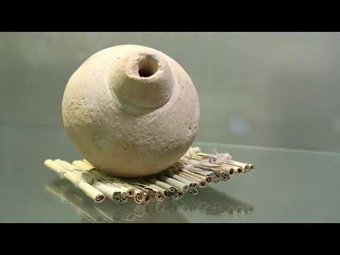 Видео: Археолог А. А. Калмыков: полевые исследования древних курганов Ставрополья