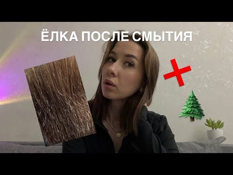 Видео: 5 ПРИЧИН ЕЛКИ ПОСЛЕ КЕРАТИНА 🌲| Как получить идеал после смытия?