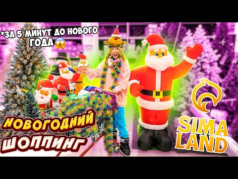 Видео: ШОППИНГ За 5 МИНУТ До НОВОГО ГОДА 😱 СКУПАЕМ Все ГИРЛЯНДЫ ✨ Декор И ЕДу На НОВОГОДНИЙ СТОЛ 🎂🧆