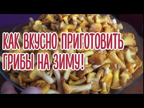 Видео: Как вкусно приготовить грибы лисички на зиму! Проверенный рецепт!