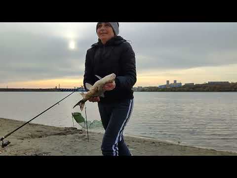 Видео: Рыбалка на Оби. 7 октября. Новосибирск. Язь уносить удочки.  Погода радует! Отдых на природе!