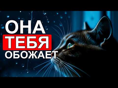 Видео: 😻 Ваша кошка делает ЭТО Она вас ЛЮБИТ больше, чем вы думаете!