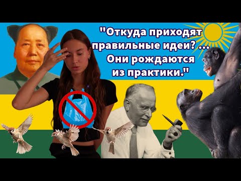 Видео: Поседелочки. Выпуск 1: про Карла Юнга, «Большой скачок» Мао Цзедуна, «Зеленую Руанду», Бонобо и др.