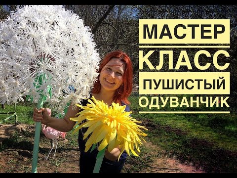 Видео: Мастер-класс ростовой пушистый одуванчик /DIY giant fluffy dandelion / Dente-de-leão macio gigante