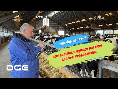 Видео: ОНЛАЙН-МАРАФОН на тему:  "Составление рационов питания для КРС. Продолжение"
