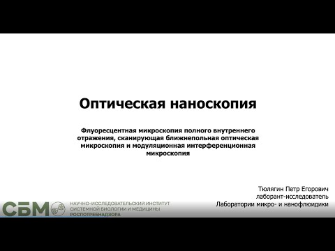 Видео: ТЮЛЯГИН: «Оптические методы наблюдения наноразмерных биологических объектов»