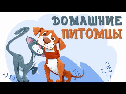 Видео: ДОМАШНИЕ ПИТОМЦЫ. Коты и Собаки. Детям о животных.