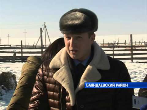 Видео: Поддержка фермеров Баяндаевского района