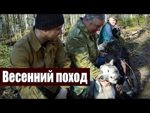 Видео: Поход в лес. Тайга весной. (лосиные места, красота, охота) Часть 1/2