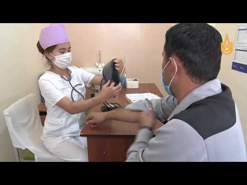 Видео: МОФ 2