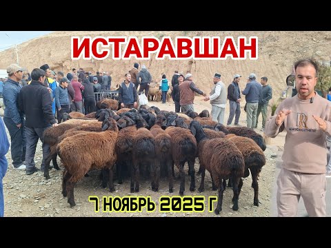 Видео: ИСТАРАВШАН! НАРХОИ ГУСФАНДХО ЧИХЕЛ ИМРУЗ..#rek #rekomendasi #khujand 