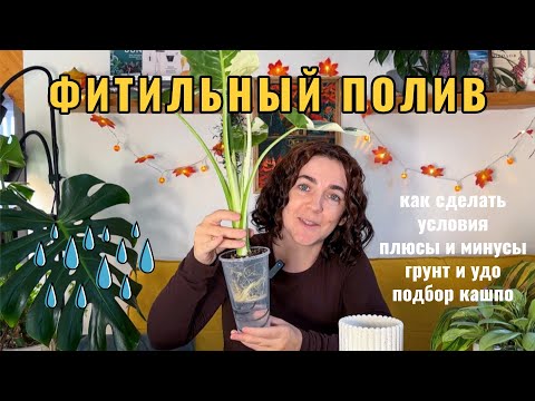 Видео: Фитильный полив растений: как сделать, плюсы и минусы, грунт и удо, подбор кашпо и т.д.