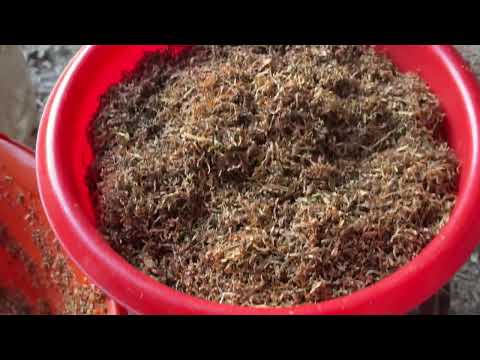 Видео: Готовим Табак для ферментации 