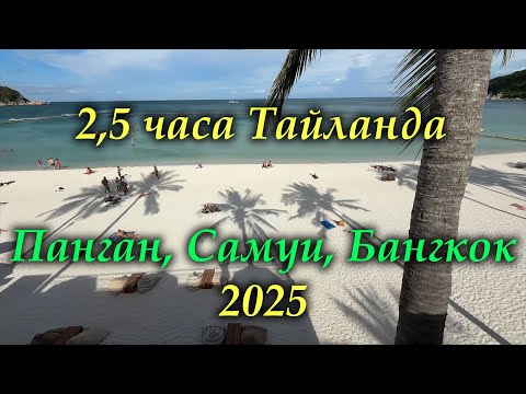 Видео: Остров Панган, Самуи, Бангкок 2025 - пляж Хаад Рин, Ламаи Бич, Океанариум