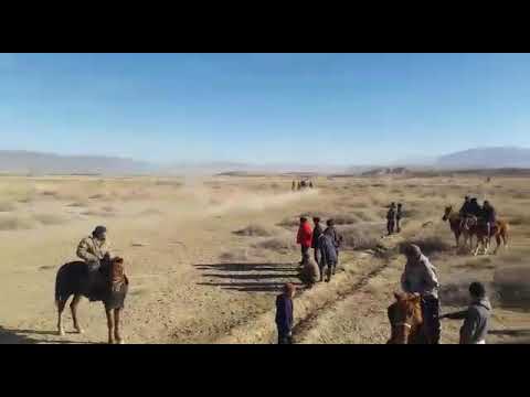 Видео: Чон-Туз. Ат чабыш. 2021. 17- яньвар