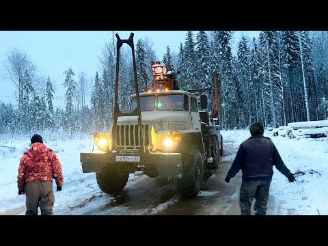 Видео: ДОРОГИ в Делянку ТАЮТ! Весна Пришла! Лесовоз УРАЛ 4320 ПРОБИРАЕТСЯ по Бездорожью!