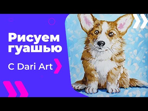 Видео: Как нарисовать собаку гуашью! Рисуем милого корги! Подробный видео урок рисования гуашью! #Dari_Art