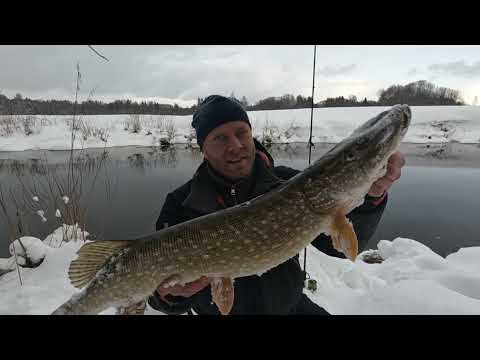 Видео: Рыбалка на СПИННИНГ в МАРТЕ! Ловля ЩУКИ на Малой реке! Джиг весной!