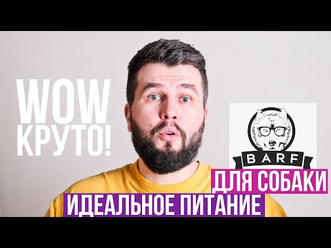 Видео: Индивидуальные BARF рационы для моих собак