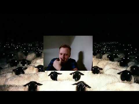 Видео: Скабрезлость про судьбу молодых и налоги в РФ