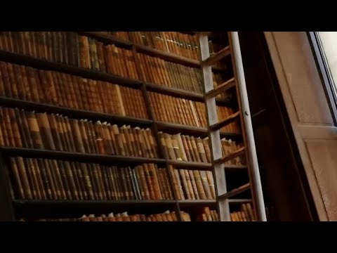 Видео: 14.10.25⭐♌ Знакомый/бывший 4-й уровень SPJ платный астролог, чтобы открыть Хроники Акаши, не ожид...