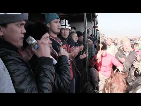 Видео: 23 02 2019 жыл  Кара Суу району, Мамажан айылы  Аламан улак, эр эниш, кунан чабыш толук версиясы