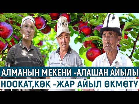 Видео: АЛМАНЫН МЕКЕНИ -АЛАШАН АЙЫЛЫ//НООКАТ