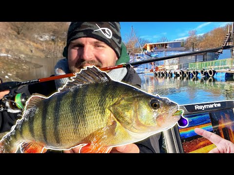 Видео: КАКВО Е ТОВА под ПОНТОНА?Техники за  риболов на костур и бяла риба на Oгняново с NORSTREAM ULTRA
