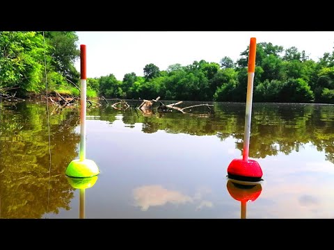 Видео: Эти БУЛЬДОЗЕРЫ НЕ ЛЕЗУТ в ПОДСАК.  Ловля толстолоба на поплавок