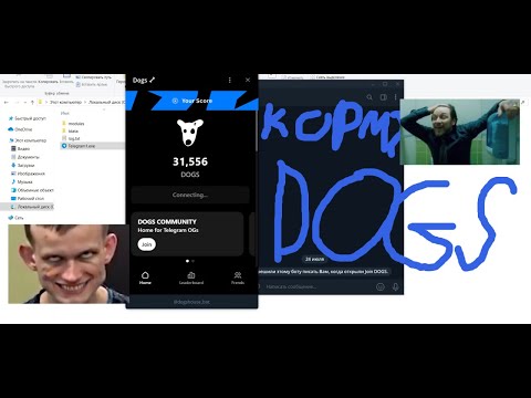 Видео: Как заработать на DOGS  150$ с аккаунта? | Как абузить DOGS | Ферма DOGS