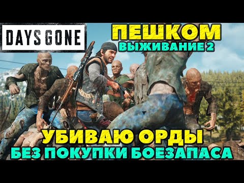 Видео: Days Gone(Жизнь после) - Пешком за Ордами(Выживание 2)! Уничтожаю Орды без покупки боезапаса!