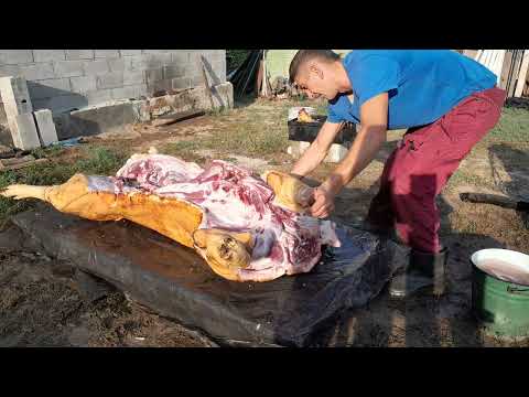 Видео: РОЗБИРАЄМО ДЮРКА СЕЛО БОЛОТНЯ