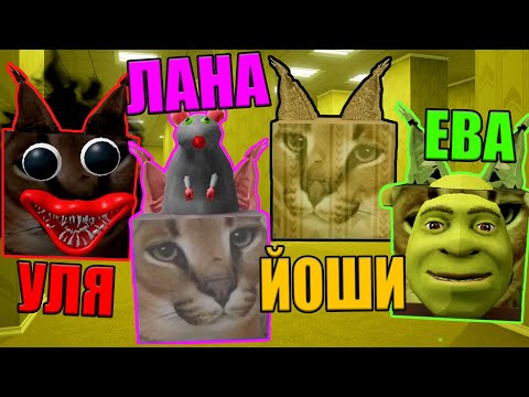 Видео: ШЛЁПЫ В БЕКРУМСАХ! КАКОЙ САМЫЙ КРУТОЙ? Roblox Find The Floppa Morphs